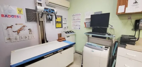 X-ray.jpg