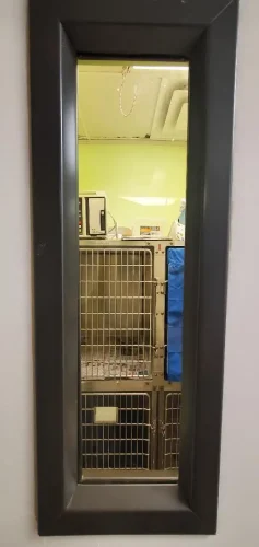 iso-window.jpg