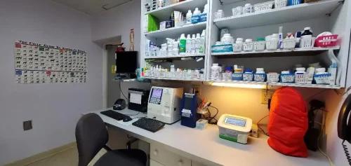pharmacy-4.jpg