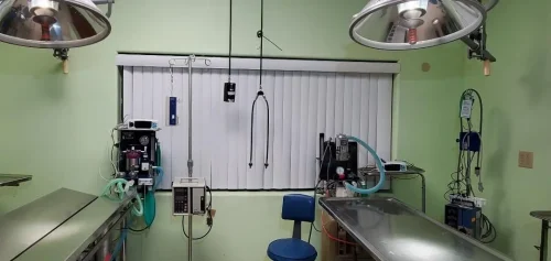 surgery-3.jpg